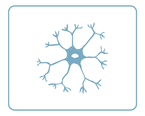 Peripheral Nerve Management