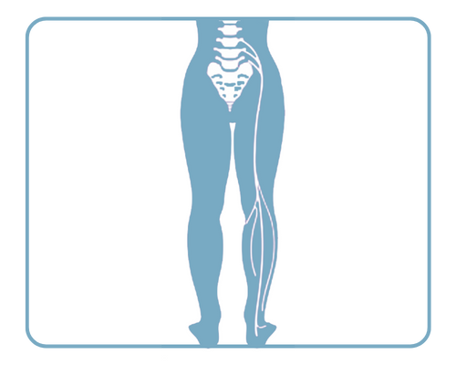 Sciatica Services at Indi Spine-Brain Neuro Care Sciatica Treatment