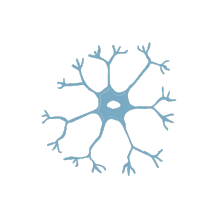 Peripheral Nerve Management